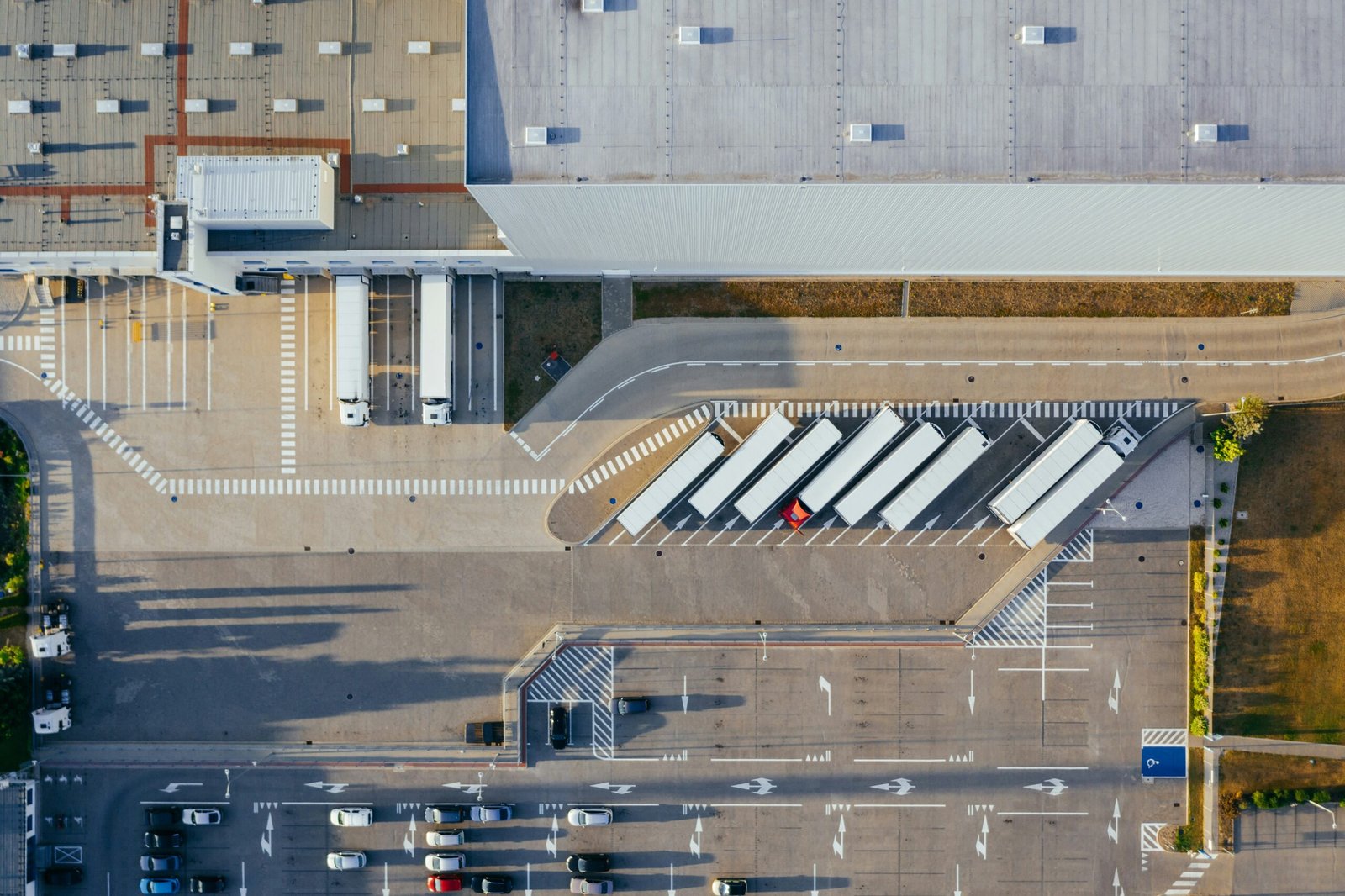 Strategies for Streamlining Warehouse Operations in the Business Sector